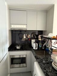 The Lilium (D19), Condominium #520311521